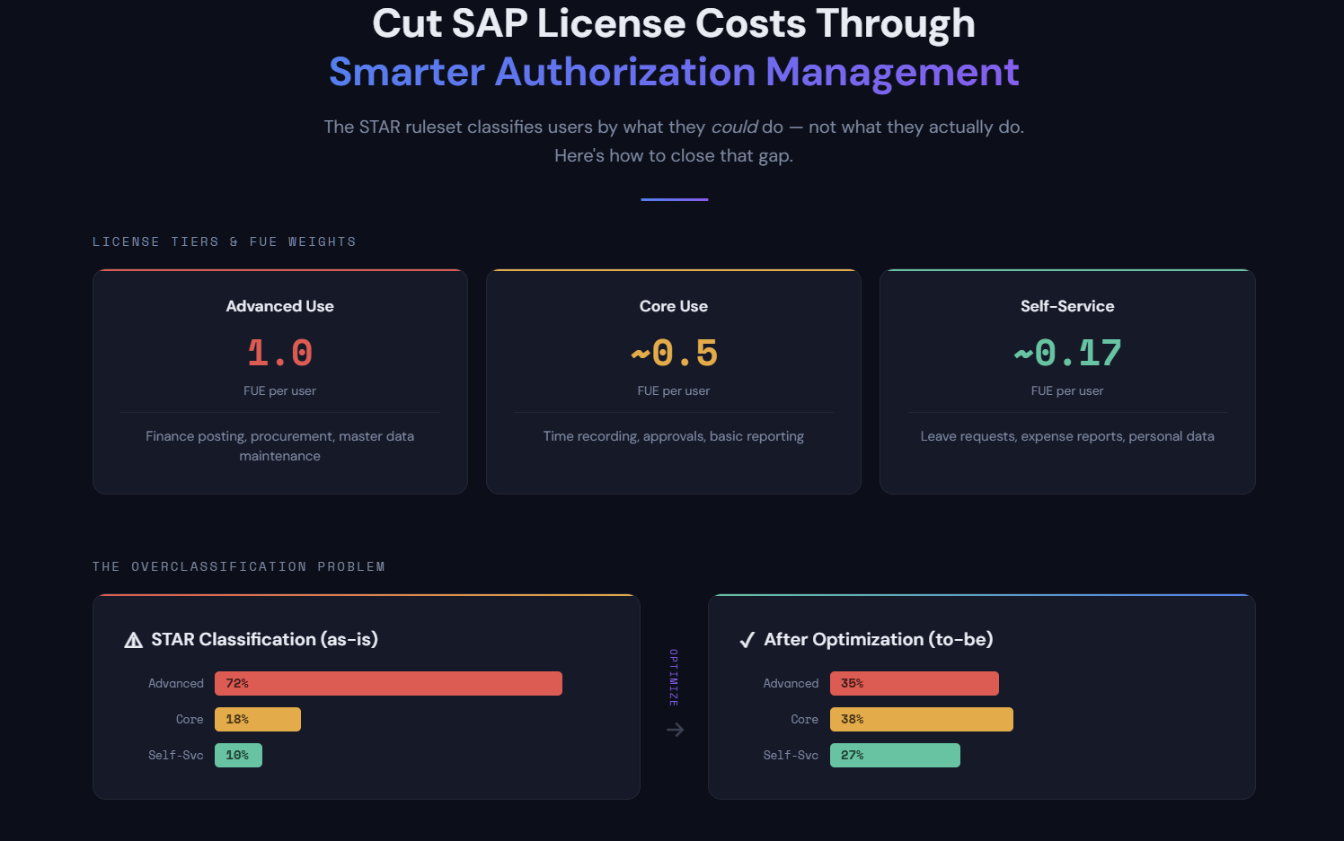 SAP FUE Optimization: How to Reduce License Costs with Authorization Cleanup