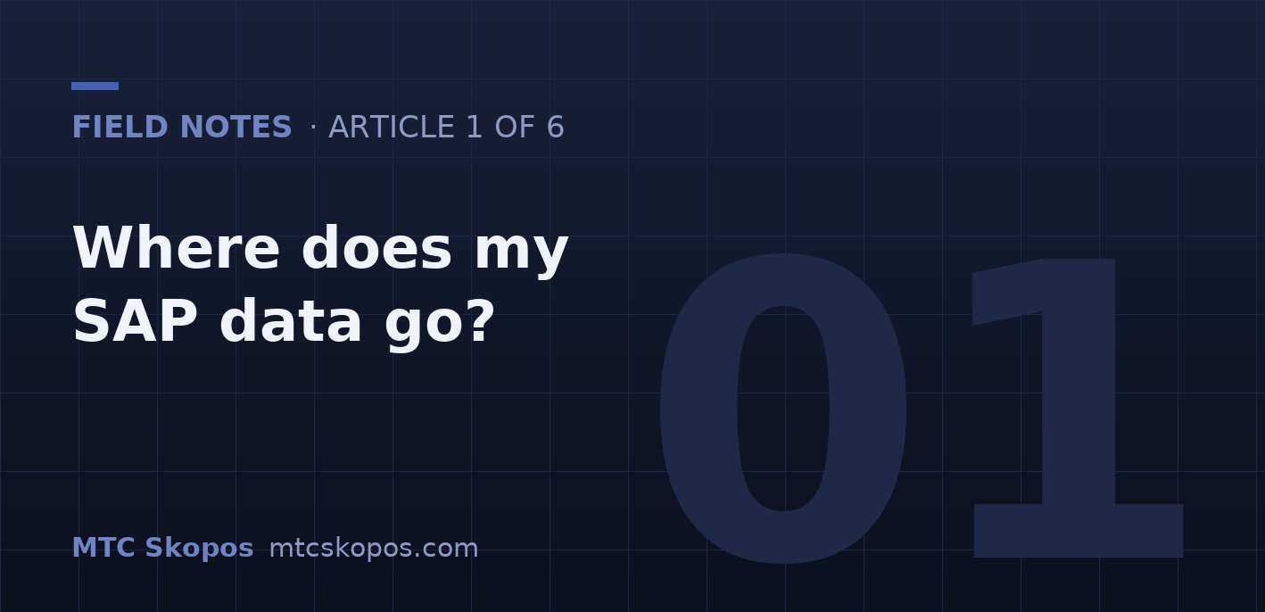 Where Does My SAP Data Go? The Question That Decides SoD Tool Evaluations